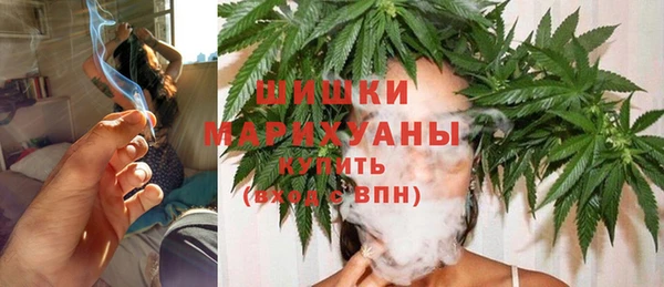 прущие грибы Алзамай