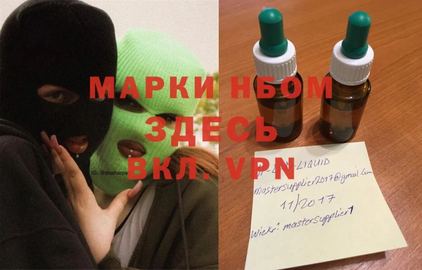прущие грибы Алзамай