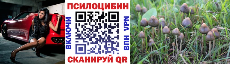 Псилоцибиновые грибы MAGIC MUSHROOMS  blacksprut ссылки  Пласт 